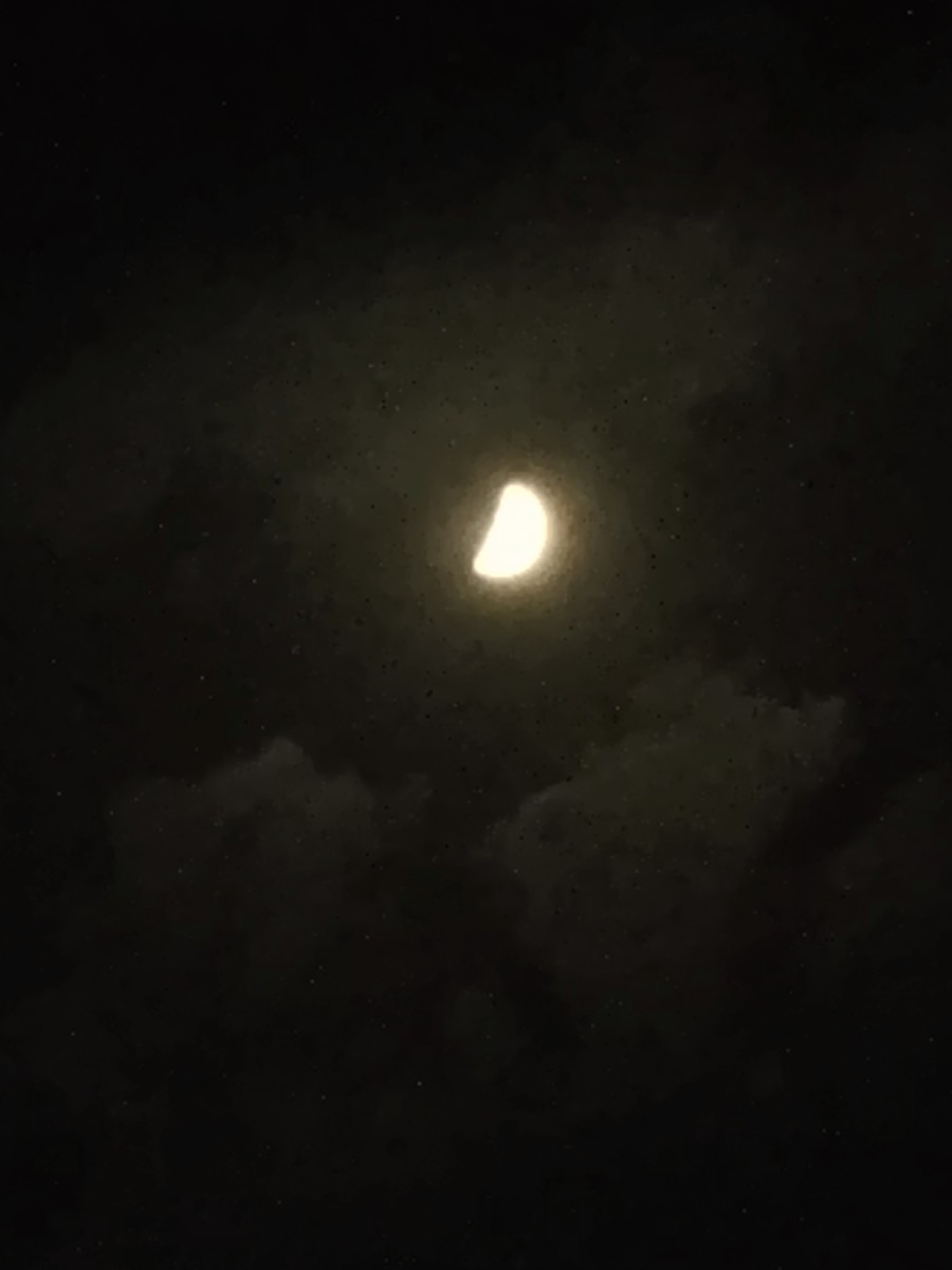 Post Image 2