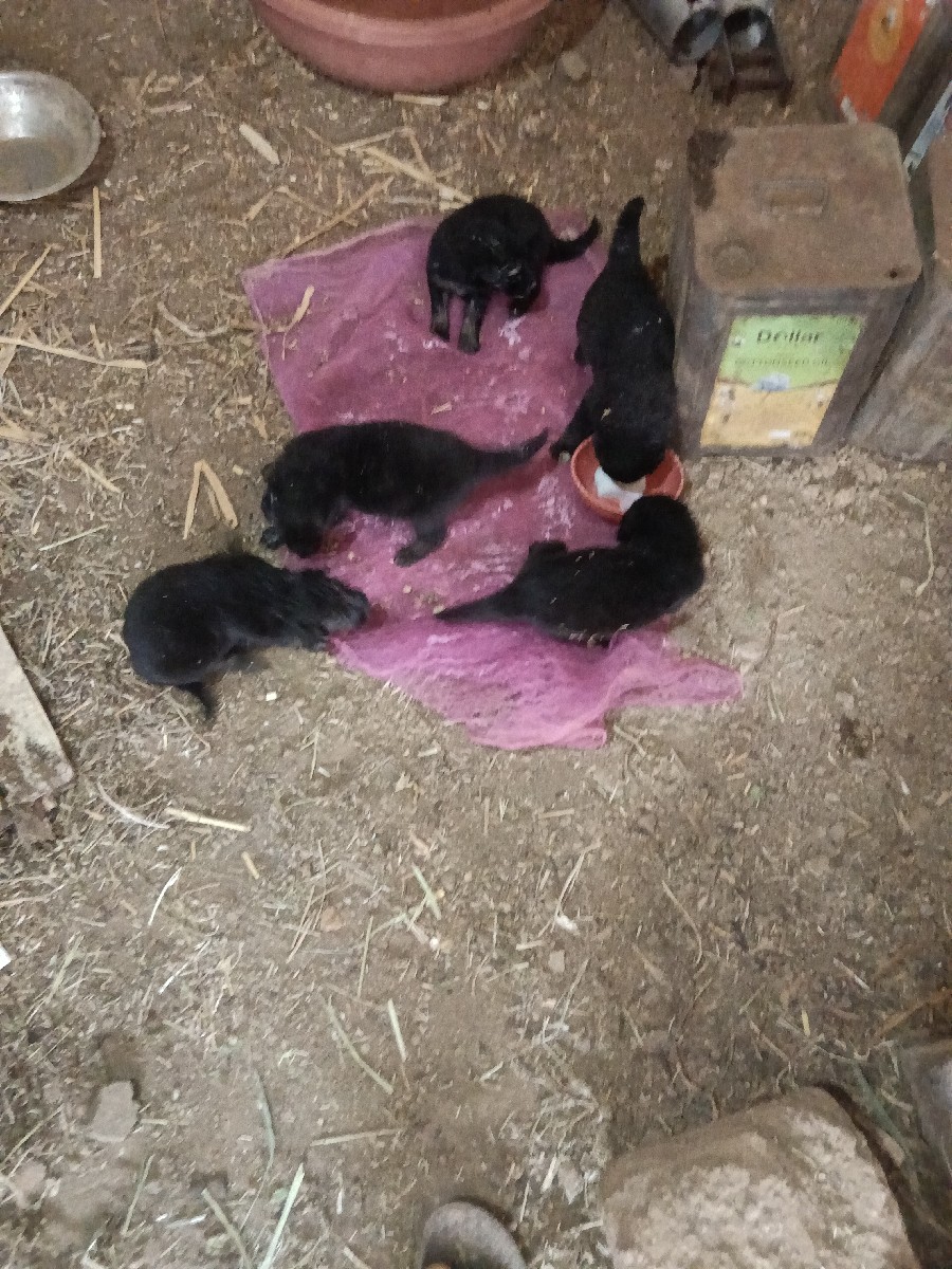 Post Image 3