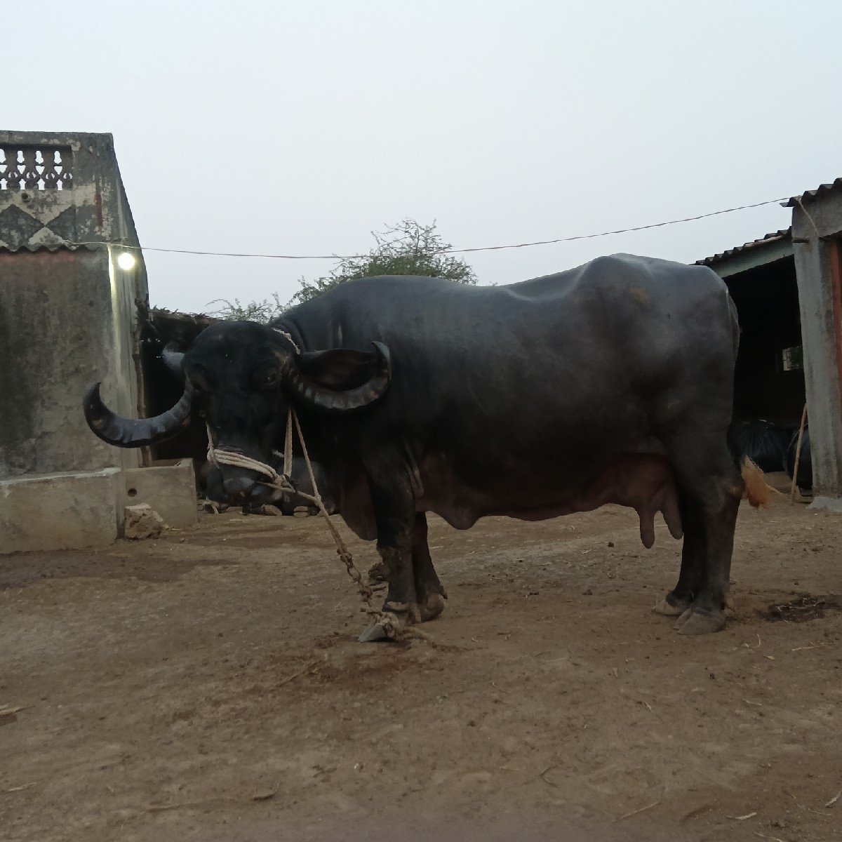 Post Image 2