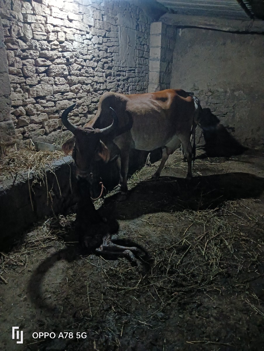 Post Image 6