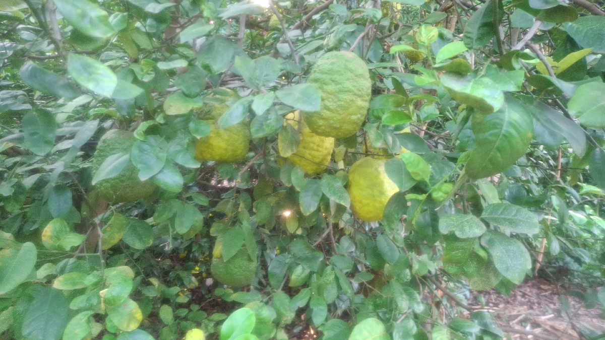 Post Image 1