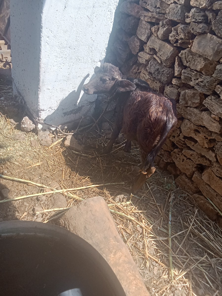 Post Image 5