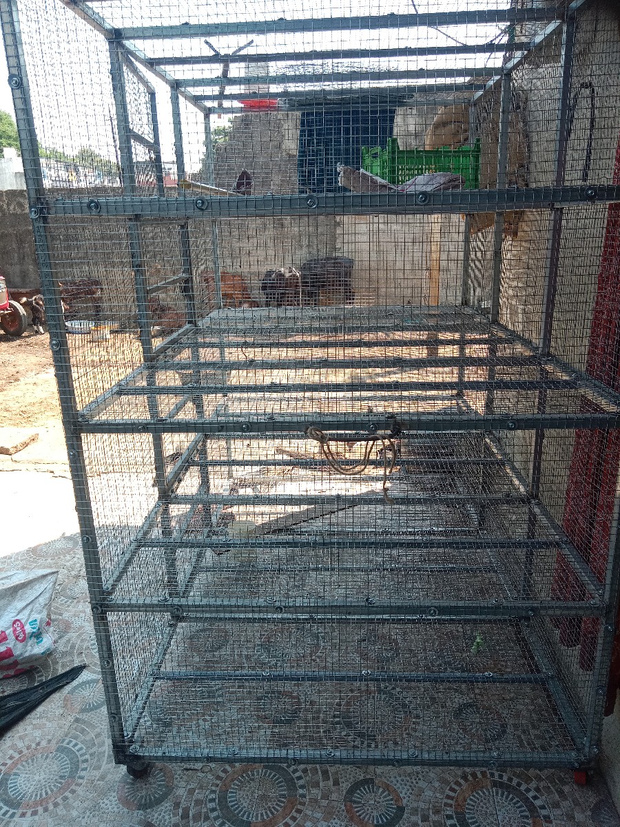 Post Image 3