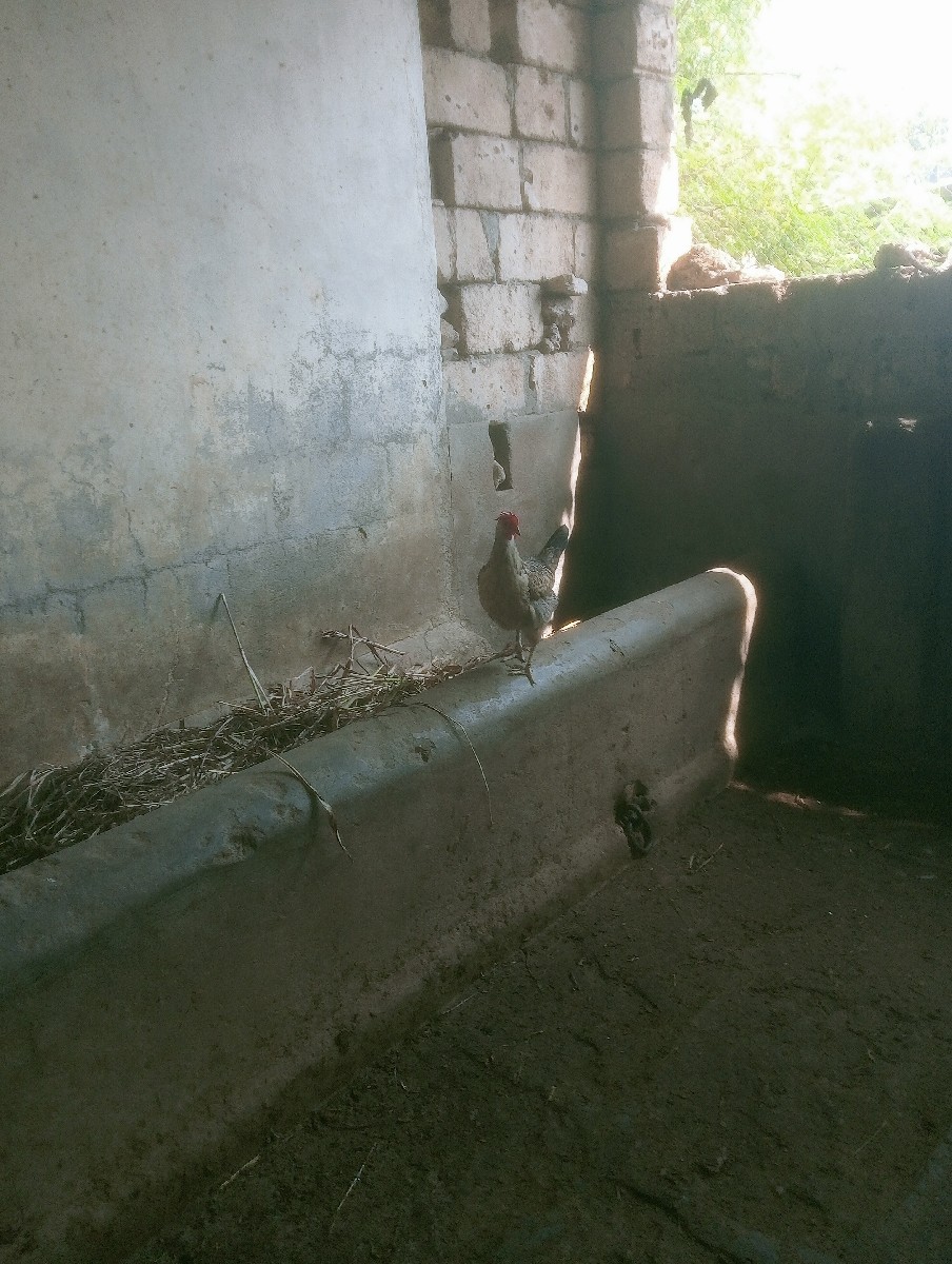 Post Image 3