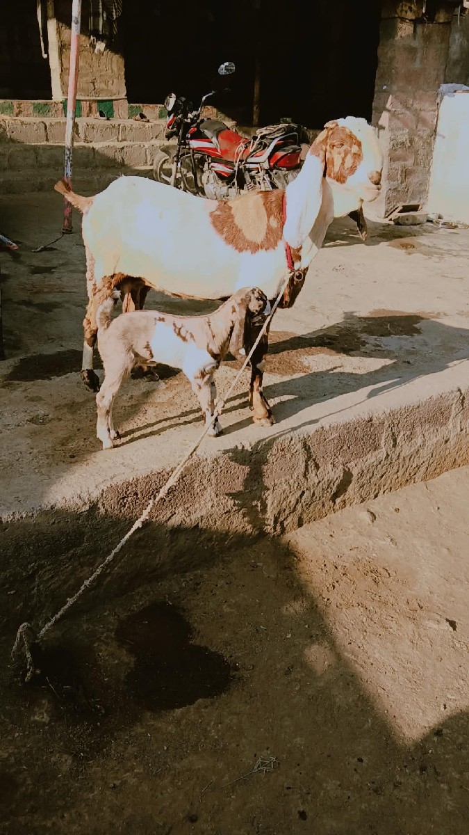 Post Image 3