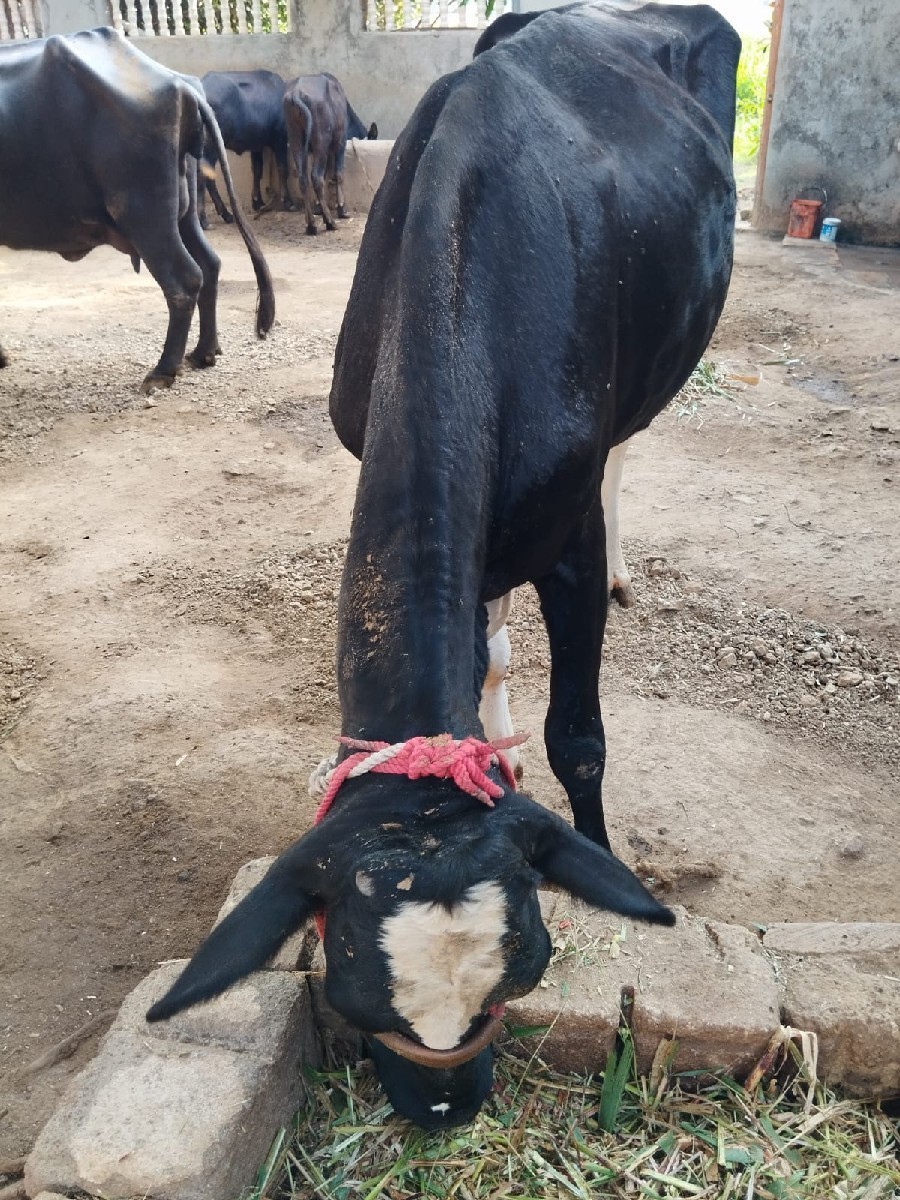 Post Image 2