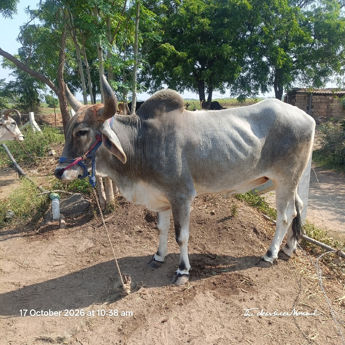 Post Image 1