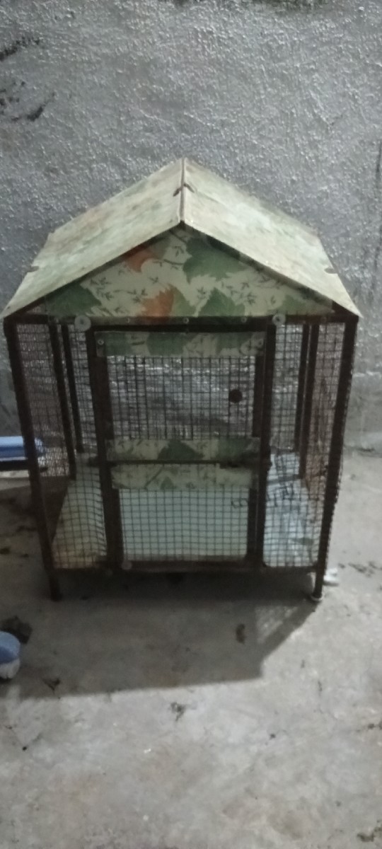 Post Image 1