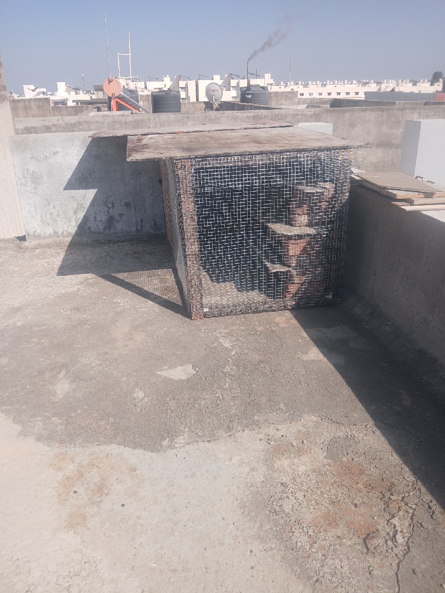Post Image 3