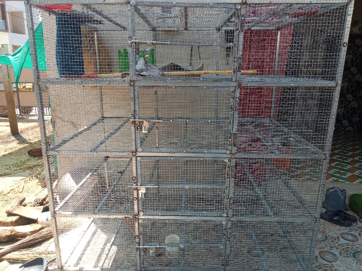 Post Image 2