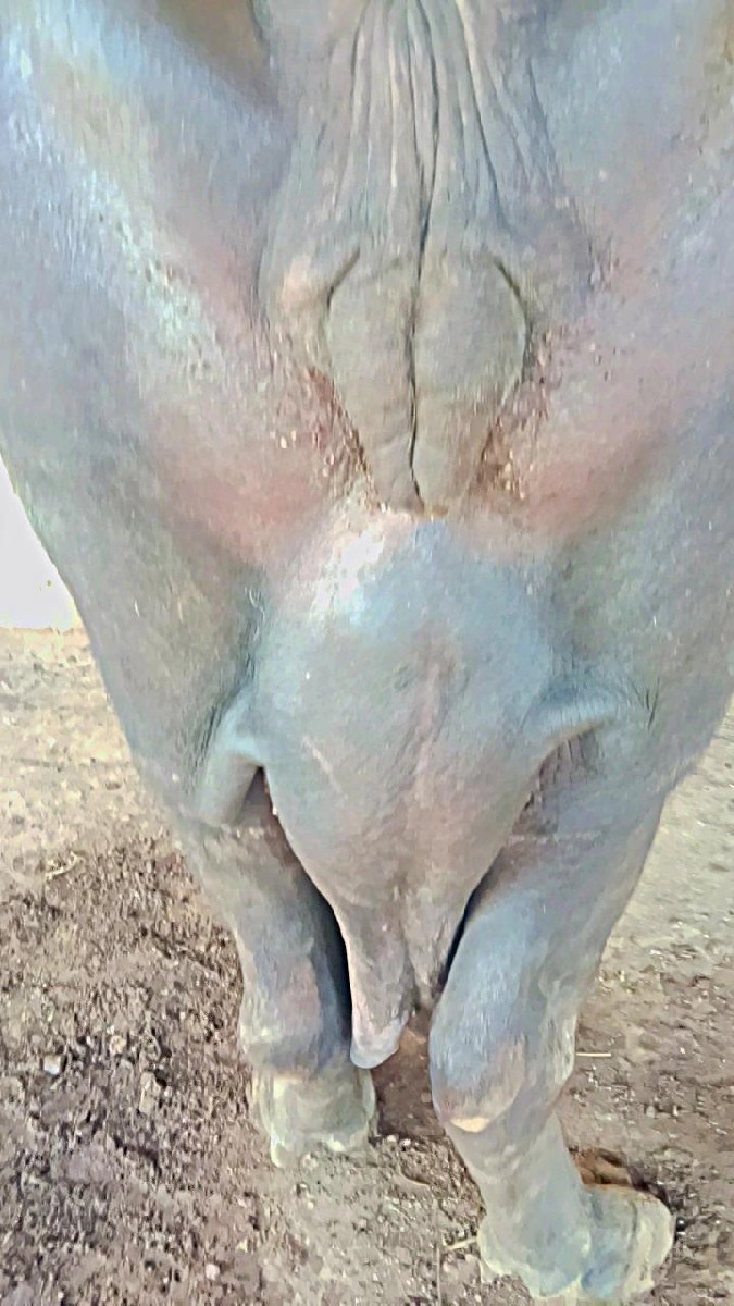 Post Image 2