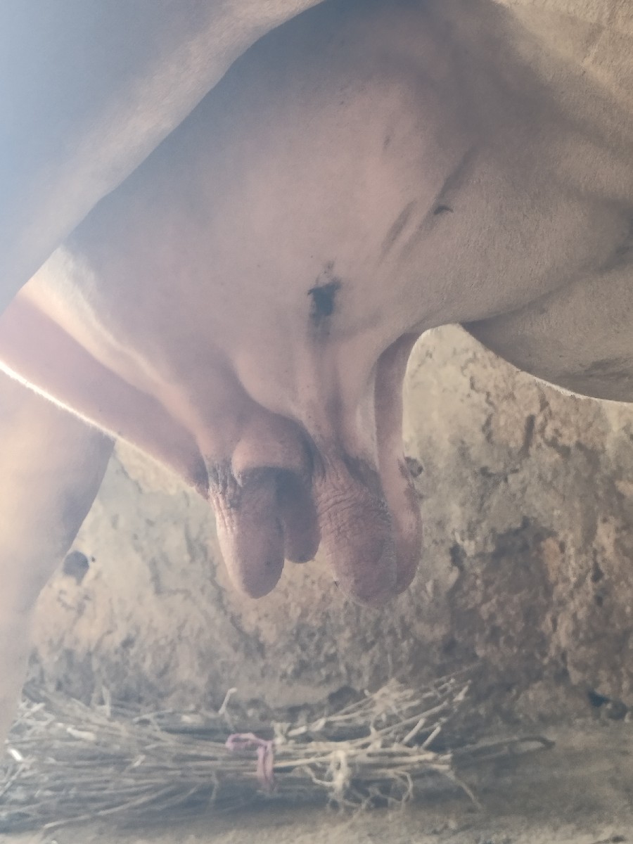 Post Image 2