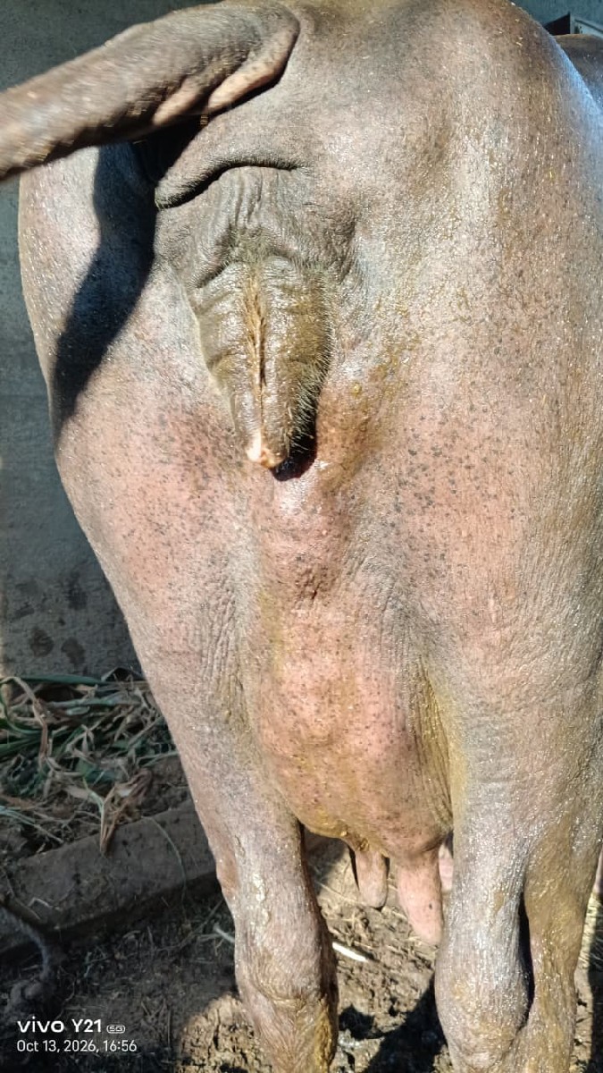 Post Image 2