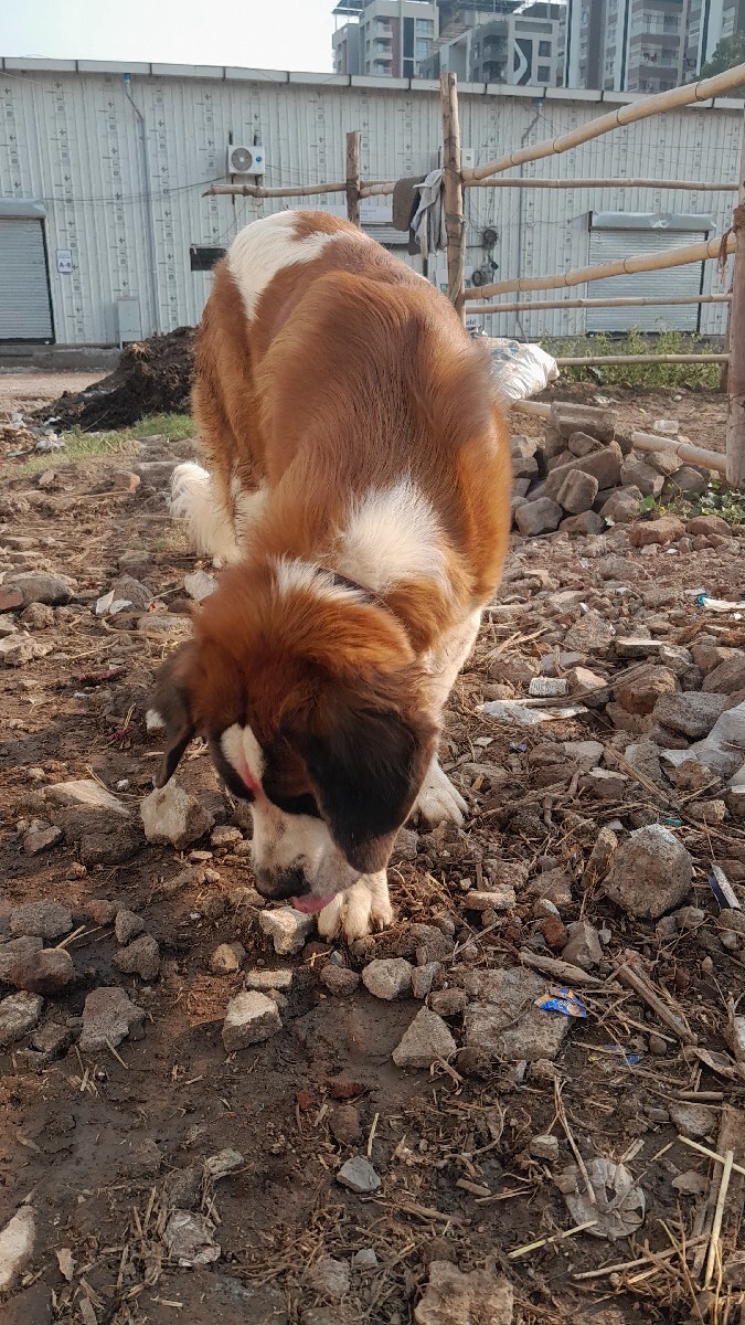 Post Image 2