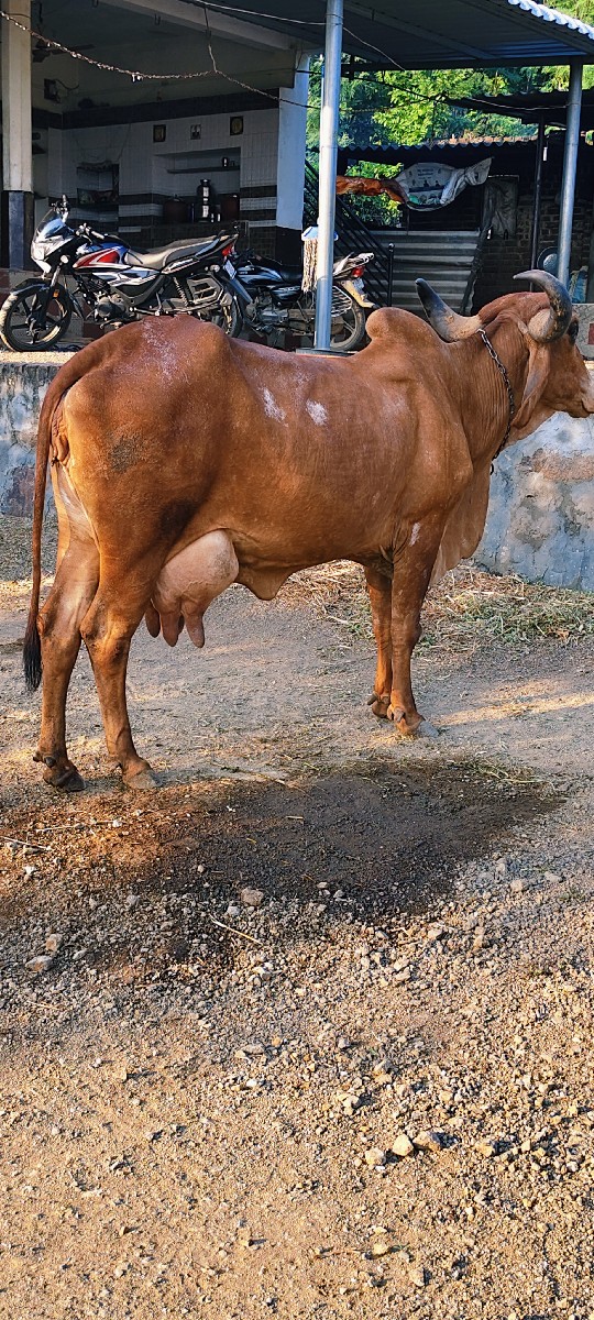 Post Image 2