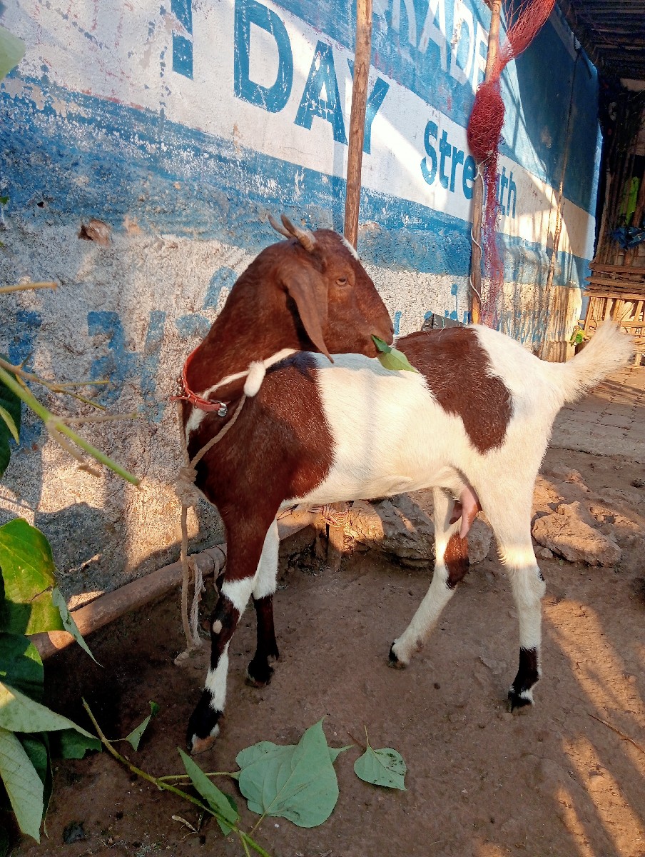 Post Image 2