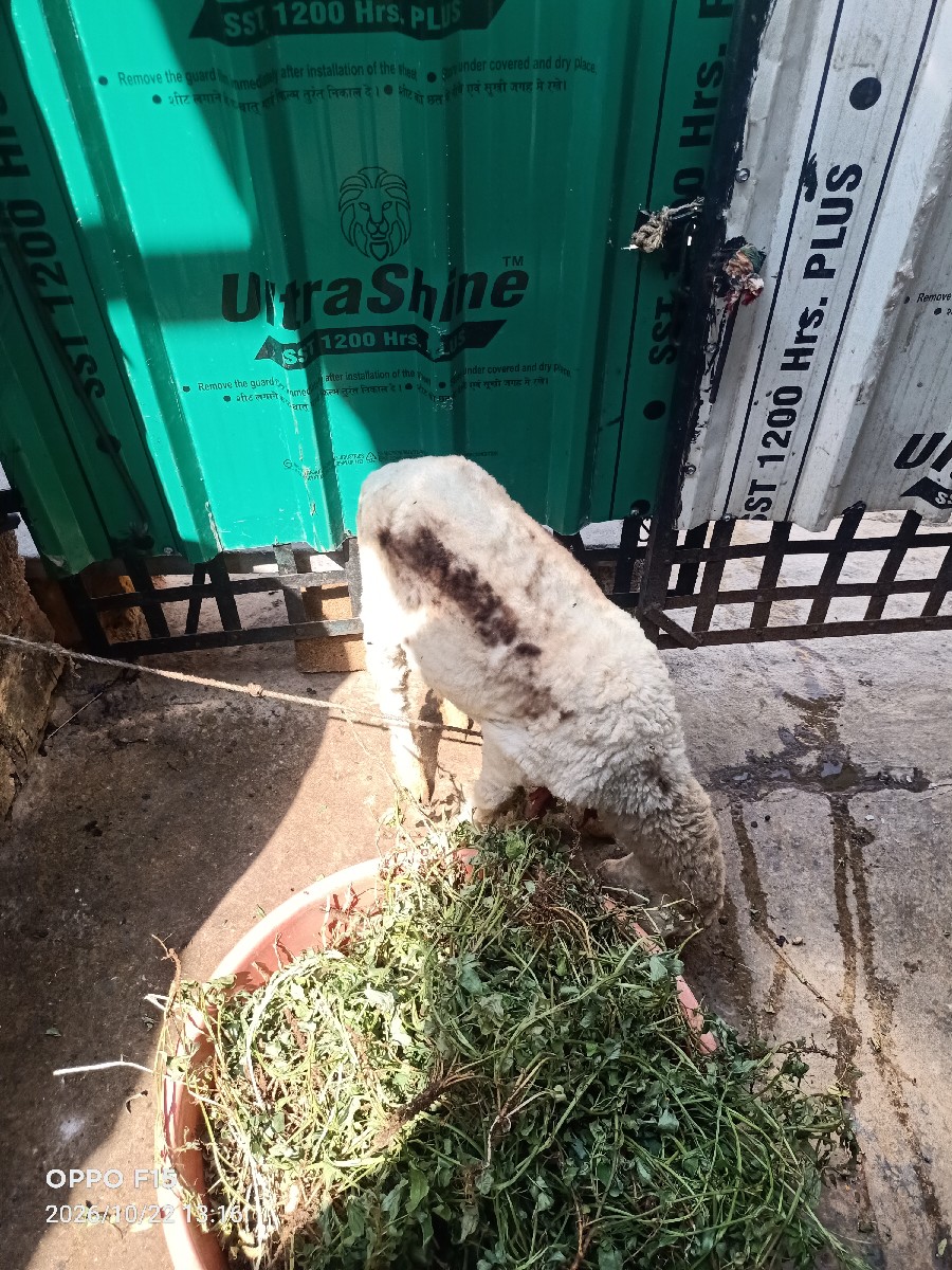 Post Image 3