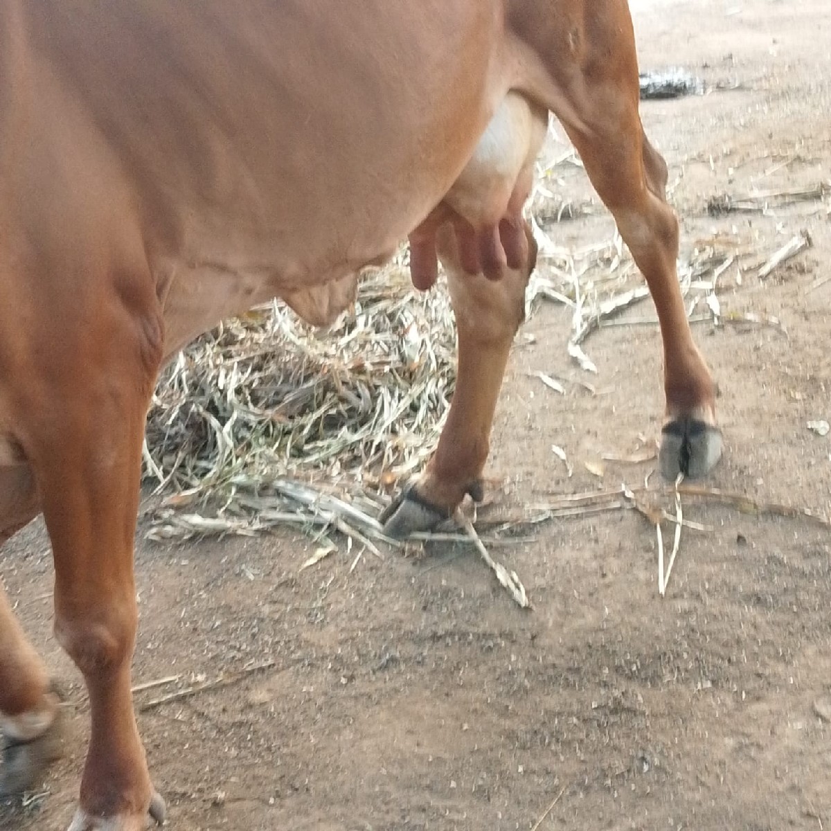 Post Image 1