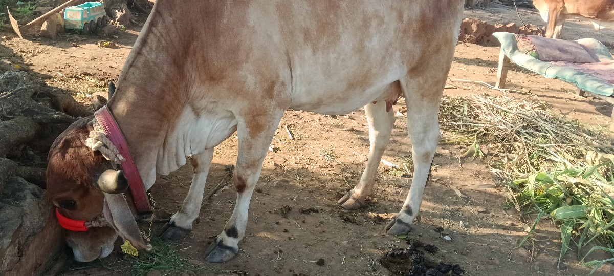 Post Image 3