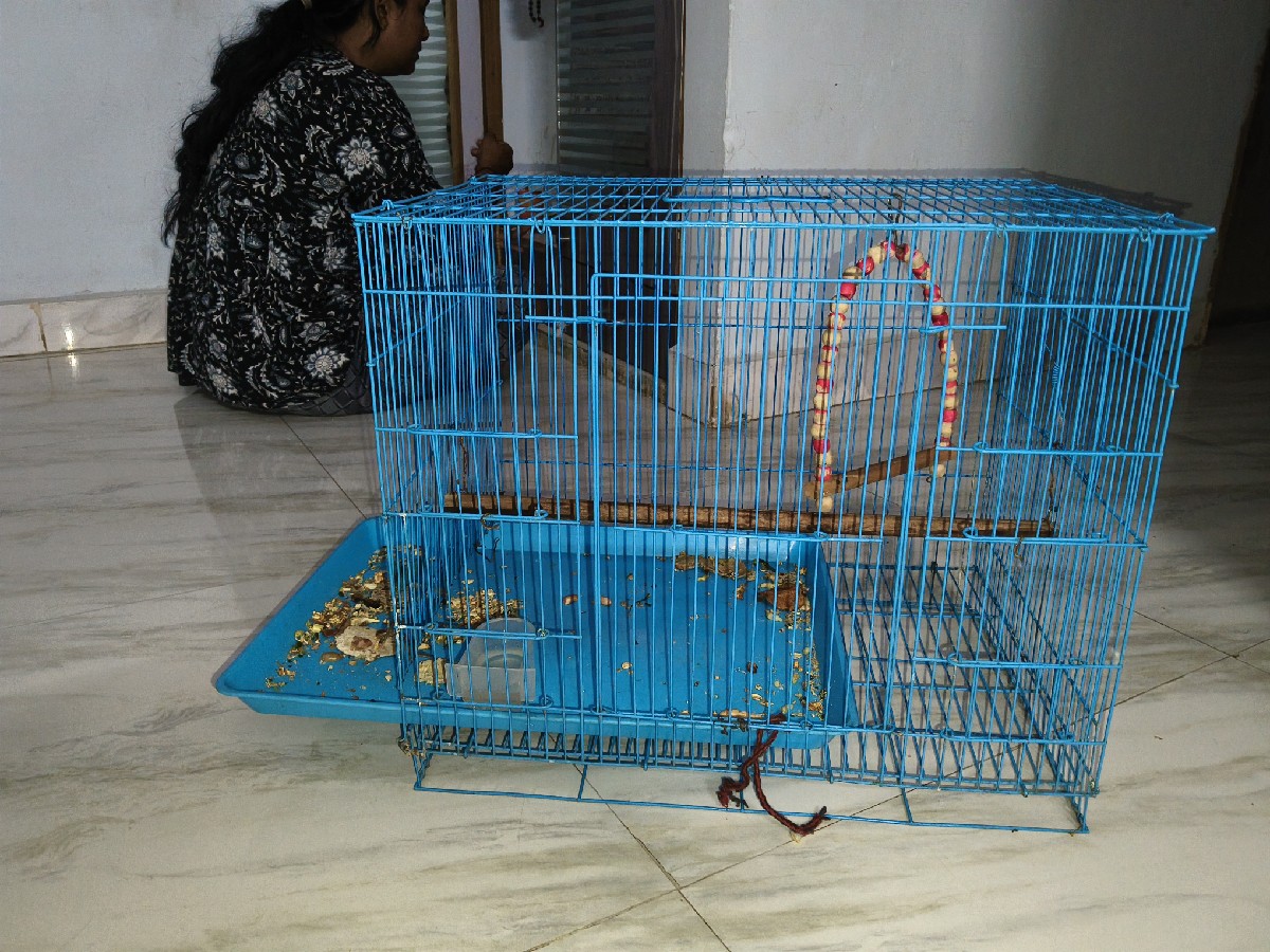 Post Image 1