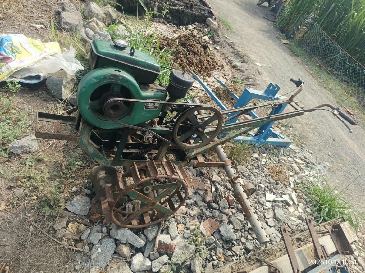 Post Image 3