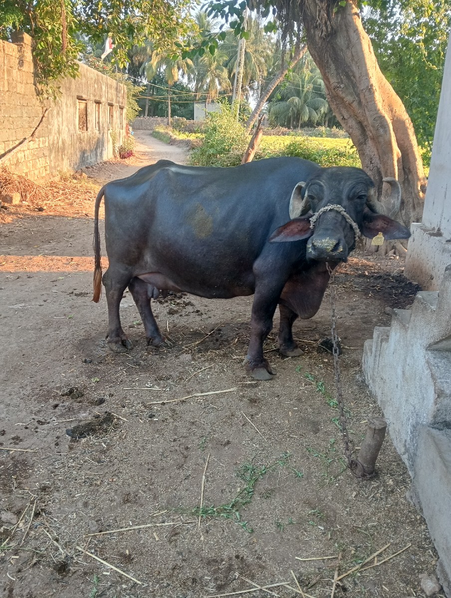 Post Image 1