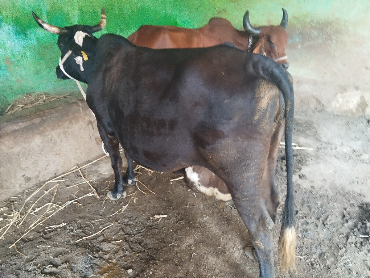 Post Image 2
