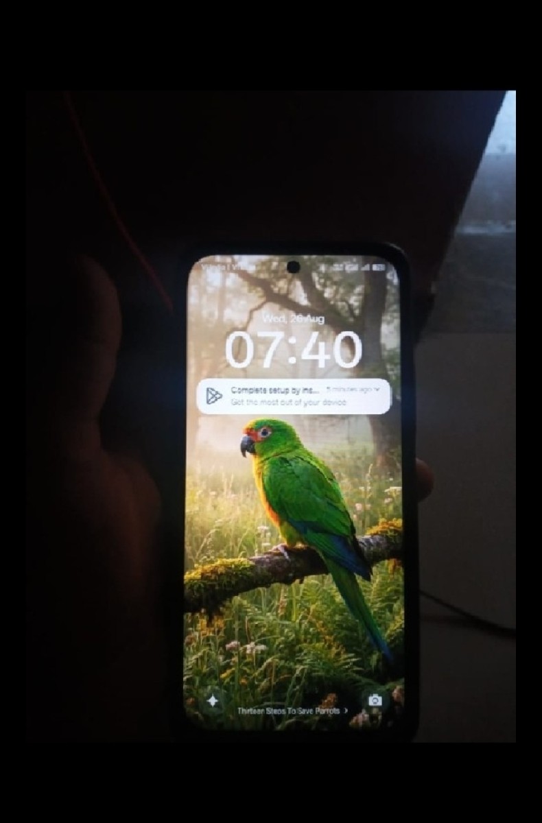 Post Image 3