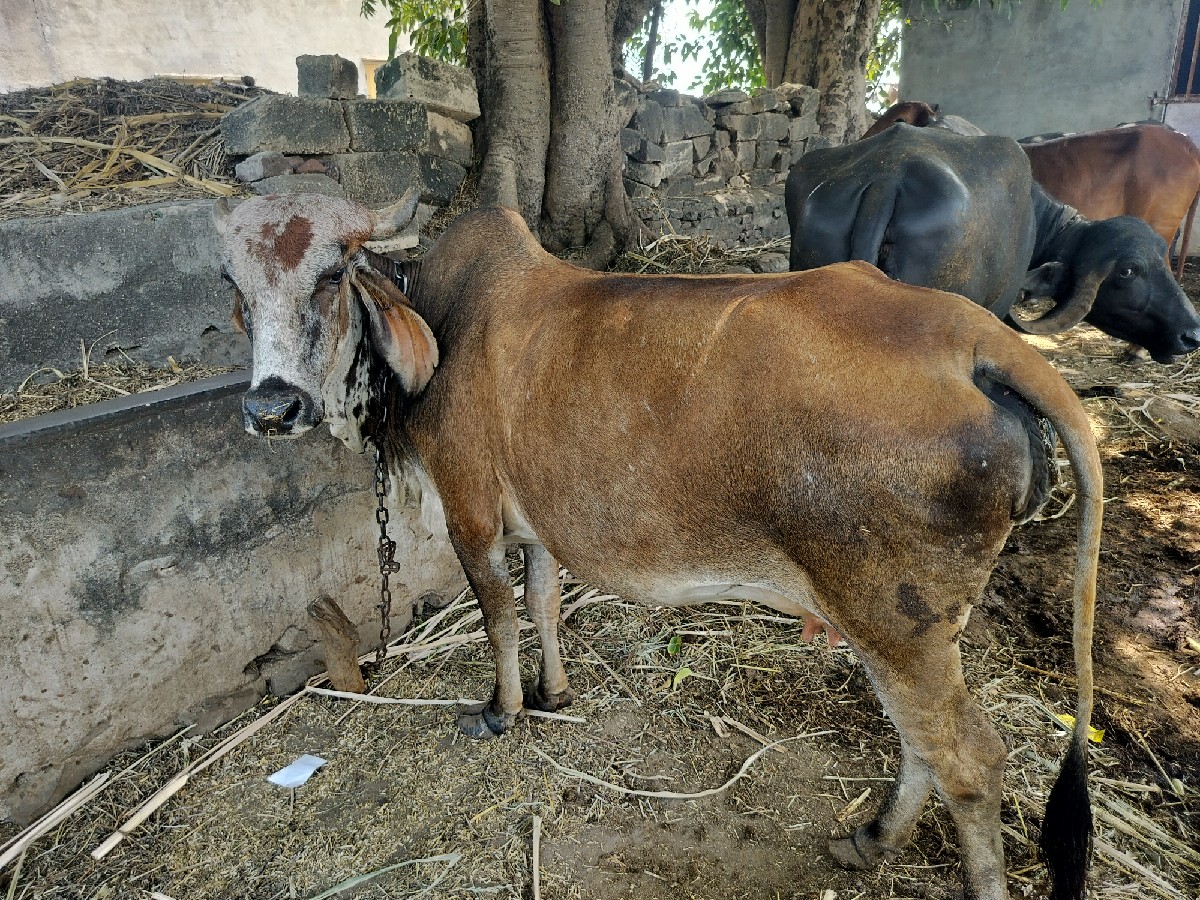 Post Image 2