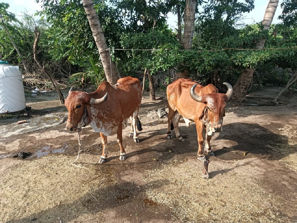 Post Image 3