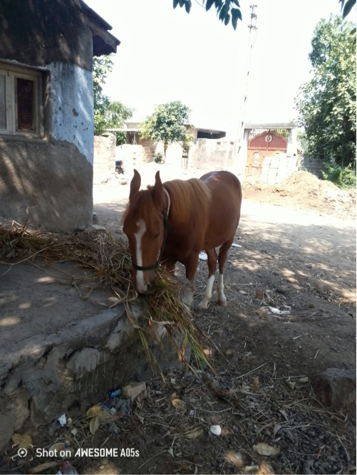 Post Image 2
