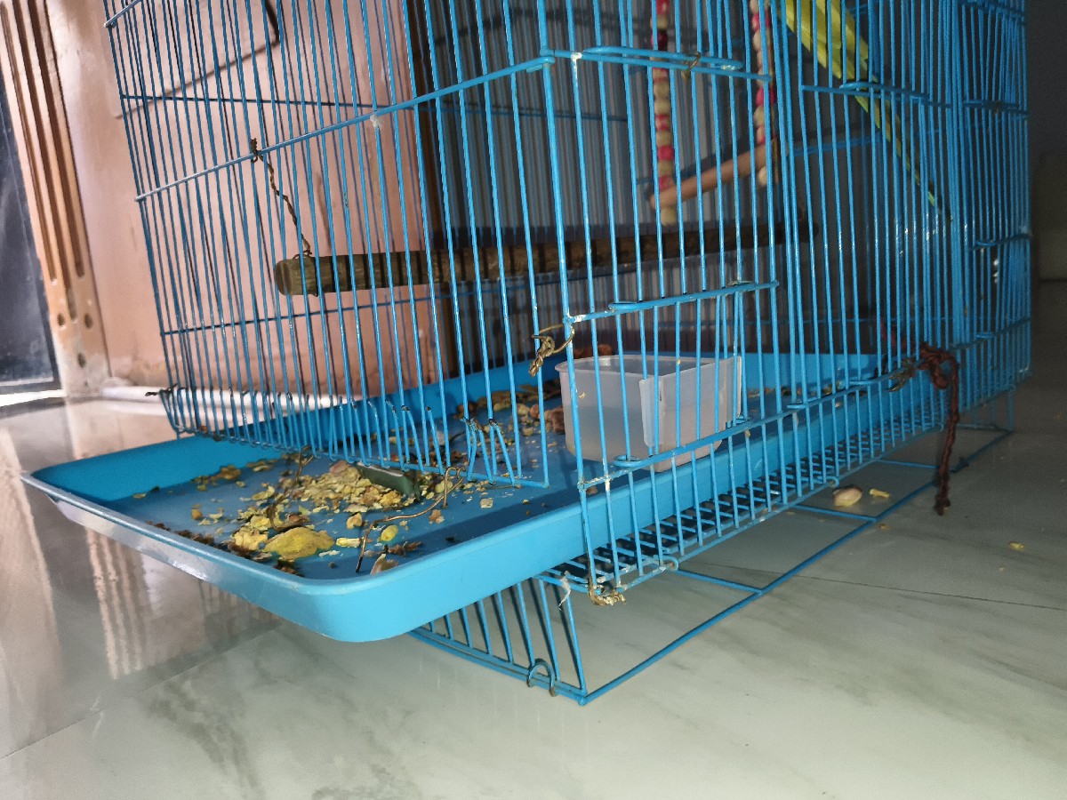 Post Image 3