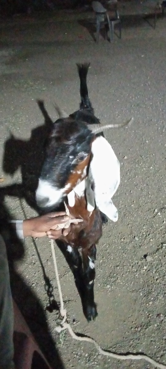 Post Image 1