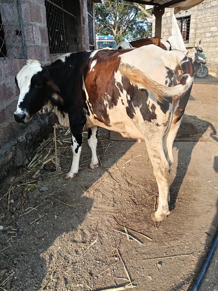 Post Image 2