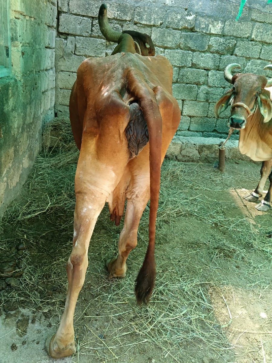 Post Image 3