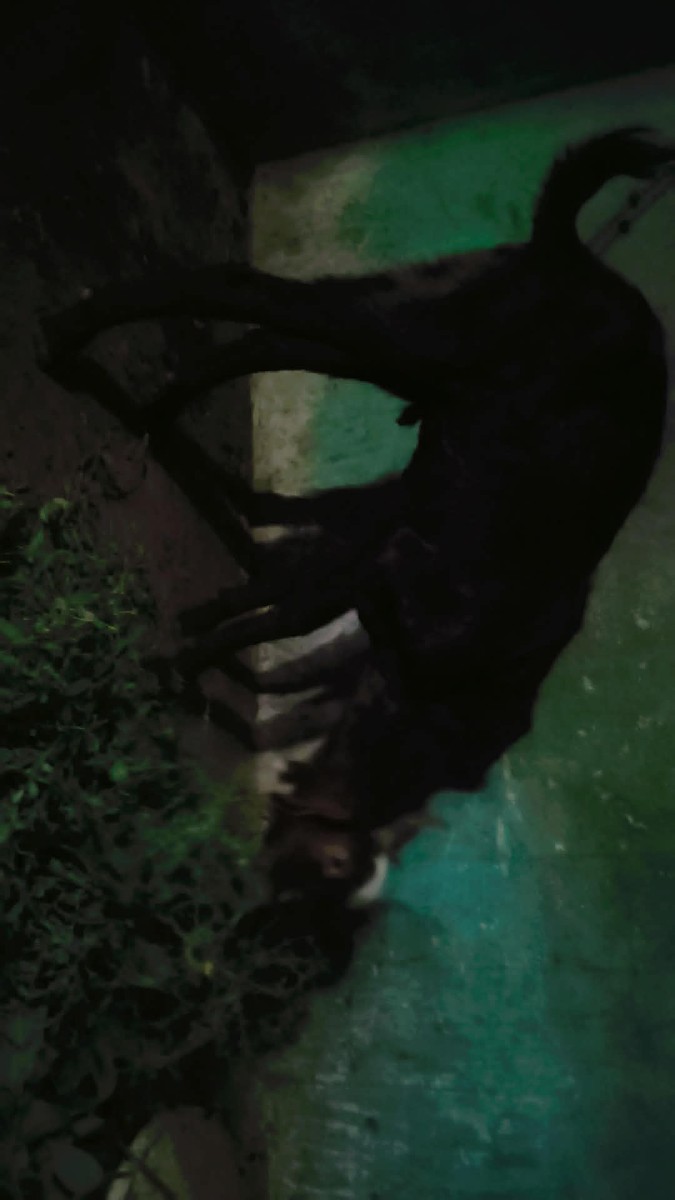 Post Image 3