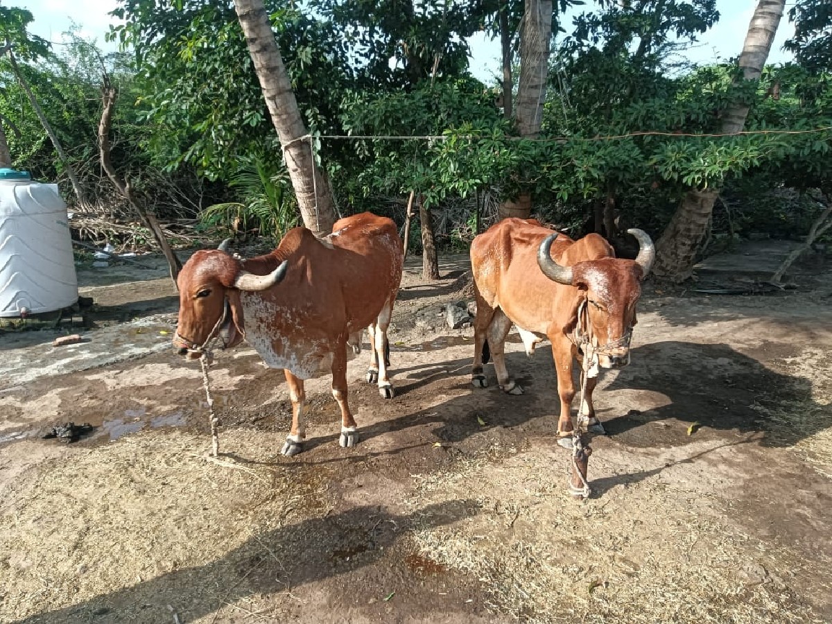 Post Image 2