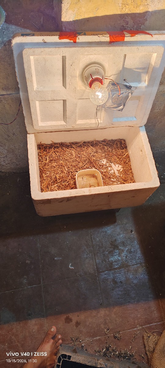 Post Image 3
