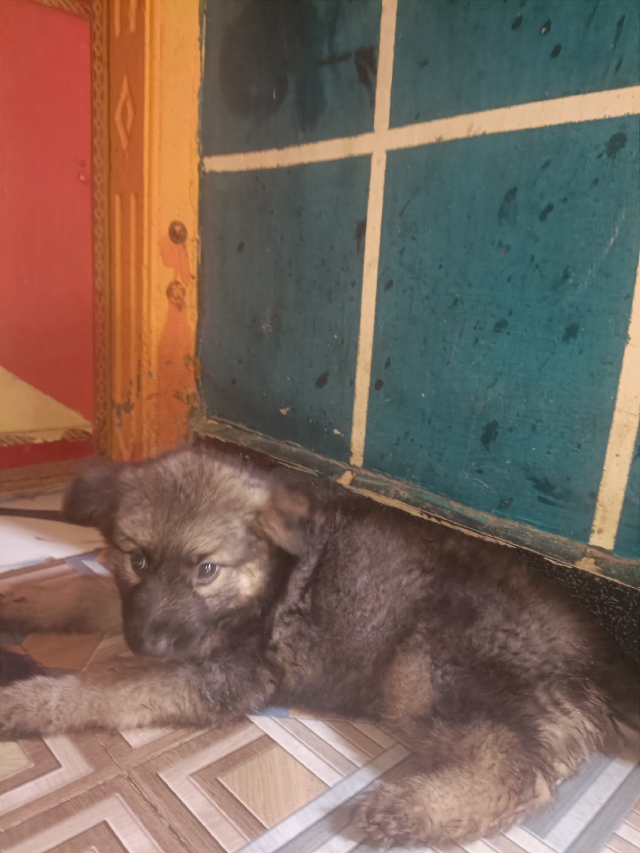 Post Image 1