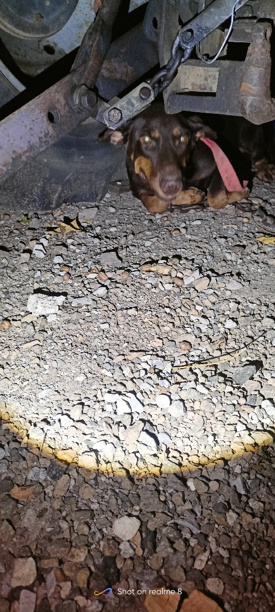 Post Image 2