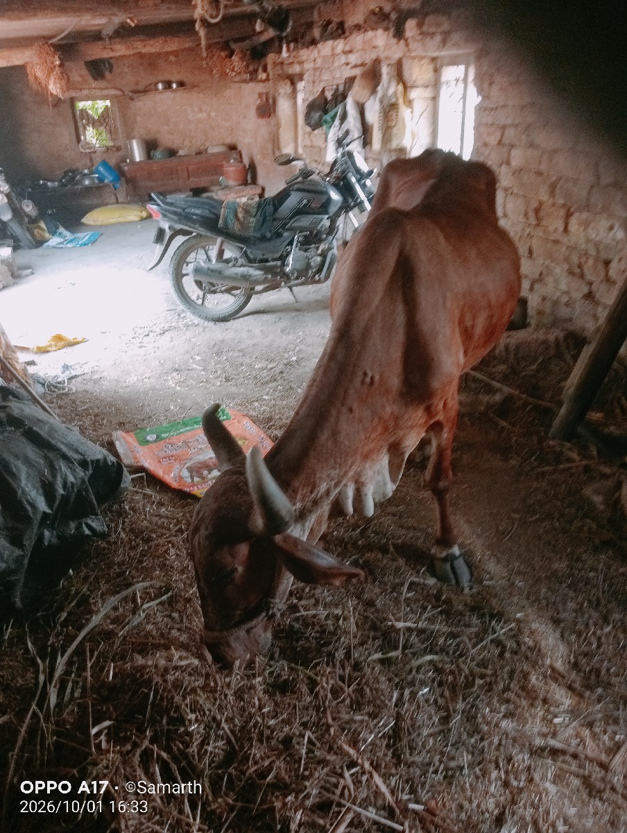 Post Image 3
