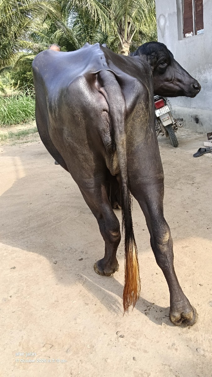 Post Image 2