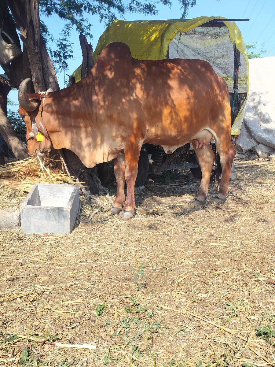 Post Image 5