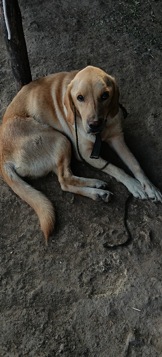 Post Image 2