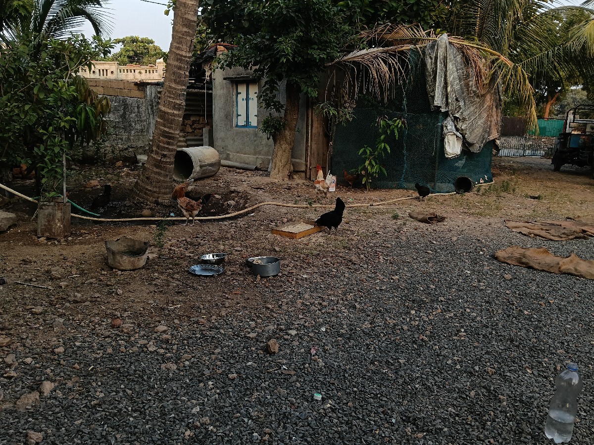 Post Image 2