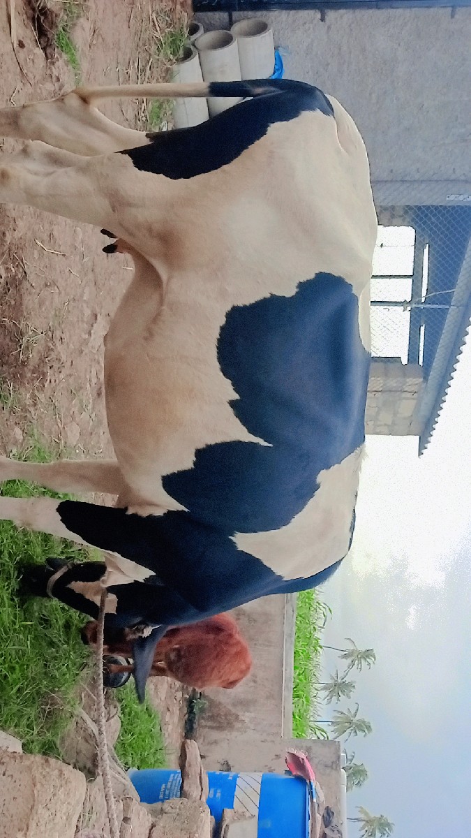 Post Image 2