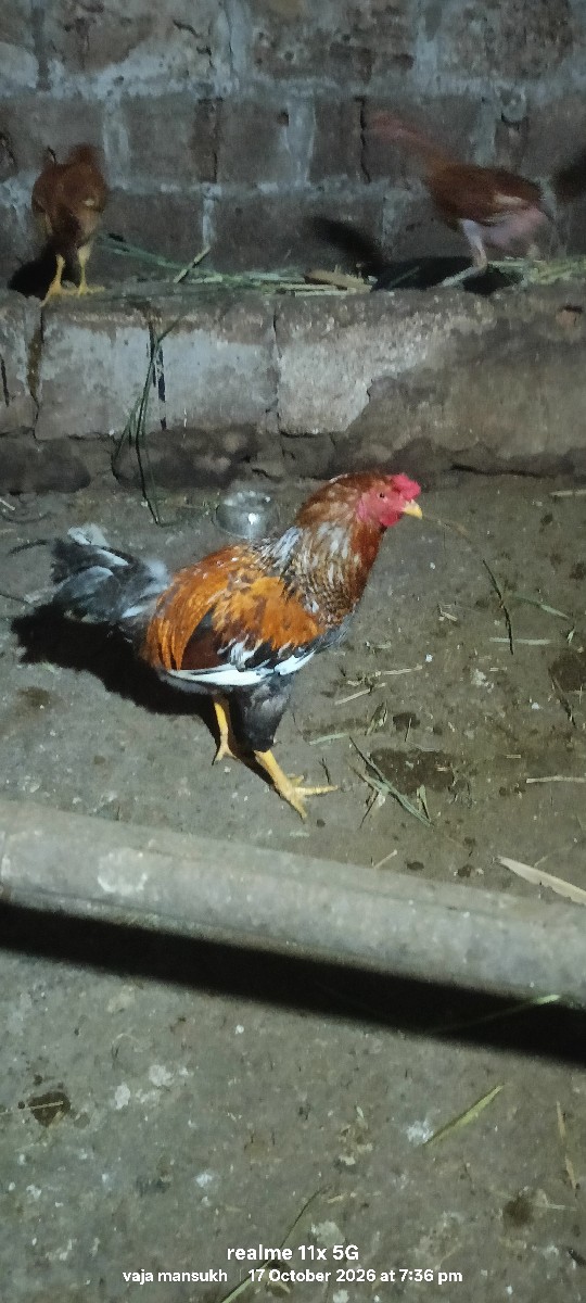 Post Image 1