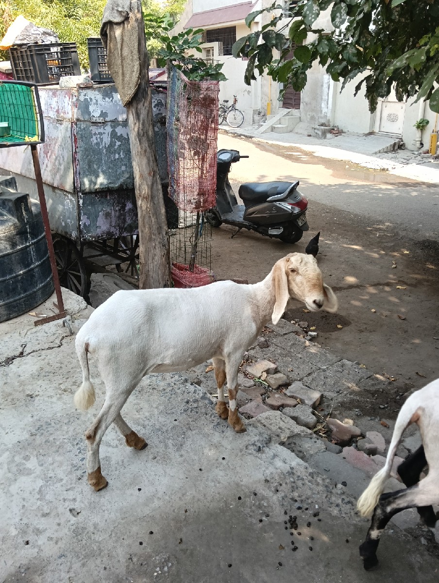Post Image 1