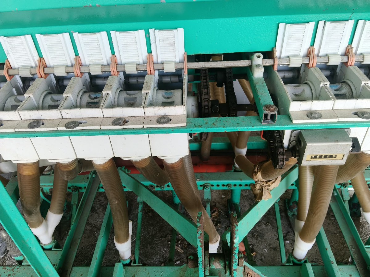 Post Image 3