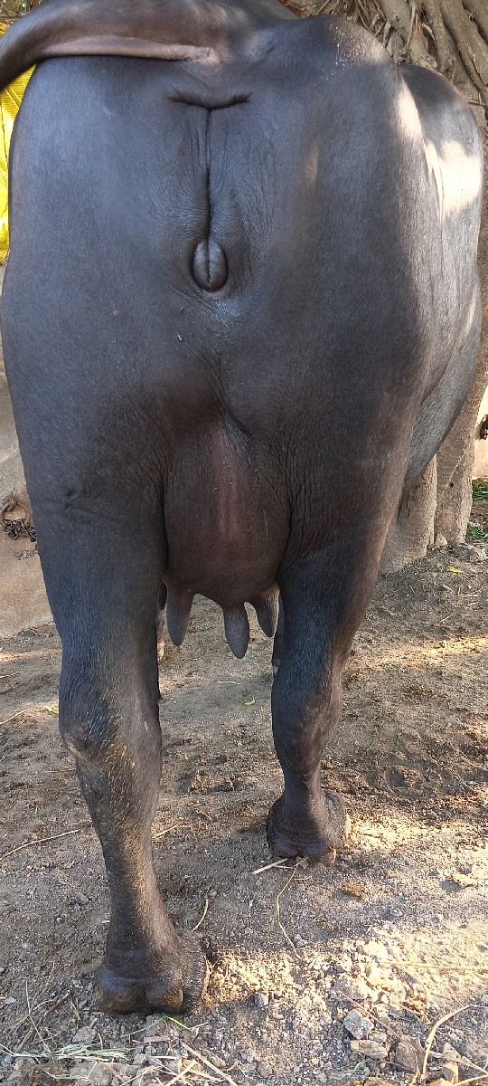 Post Image 2